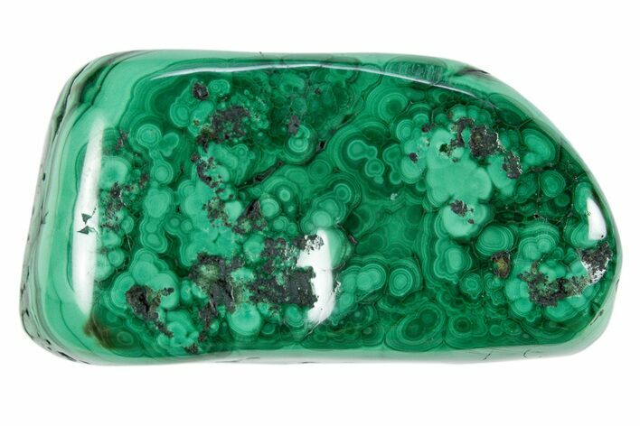 Polished Banded Malachite Specimen - DR Congo #305211